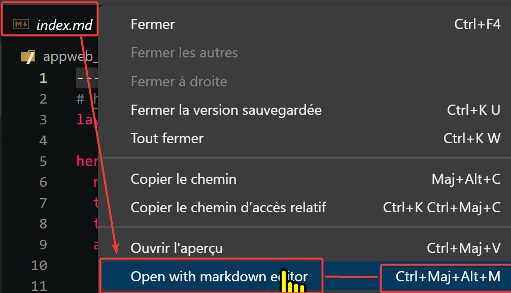 markdown markdown