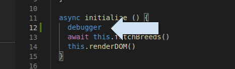 debugger